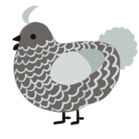 A grey and silver chicken with a lace pattern