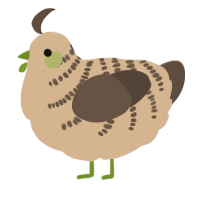 A beige and bark chicken with a half-bar pattern