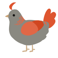 A ash and vermilion chicken with a neck-band pattern