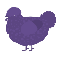 A overcast chicken with a speckle pattern