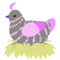 A ash and lavender chicken with a bar pattern