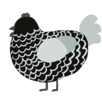 A black and silver chicken with a lace pattern