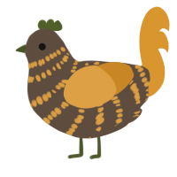 A bark and orange chicken with a bar pattern