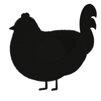 A black chicken with a lace pattern