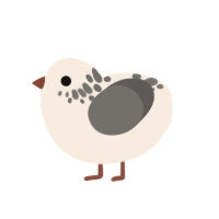 A cream and grey chicken with a neck-speckle pattern