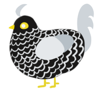 Black Honey, a sable and mist chicken with a lace pattern