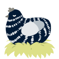 A tumblr and mist chicken with a bar pattern