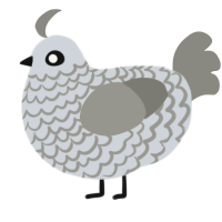 A mist and ash chicken with a lace pattern