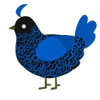 Prussian Blue, a black and ultramarine chicken with a double-lace pattern