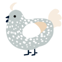 A silver and cream chicken with a speckle pattern