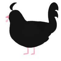 A black chicken with a double-lace pattern