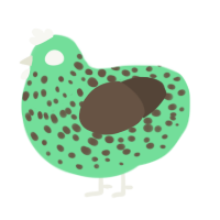 Mint Chocolate Chip, a spring and bark chicken with a speckle pattern