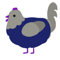 A navy and ash chicken with a head pattern