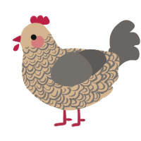 A beige and grey chicken with a double-lace pattern