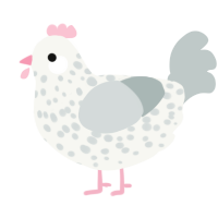A white and silver chicken with a speckle pattern