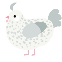 A white and silver chicken with a speckle pattern