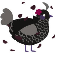 A sable and grey chicken with a lace pattern