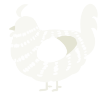 A white chicken with a bar pattern