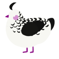 A white and black chicken with a half-lace pattern