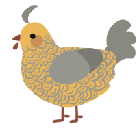 A honey and ash chicken with a double-lace pattern