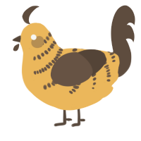 A honey and bark chicken with a half-bar pattern