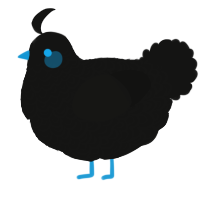 A black chicken with a double-lace pattern