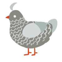 A ash and silver chicken with a lace pattern
