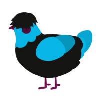 A black and cerulean chicken with a head pattern
