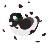 A black and silver chicken with a head pattern