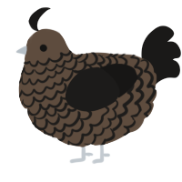 A bark and sable chicken with a lace pattern