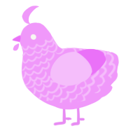 A lavender chicken with a lace pattern