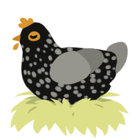 A black and ash chicken with a speckle pattern