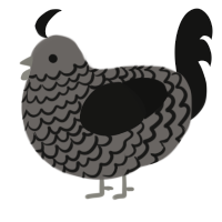 A grey and black chicken with a lace pattern