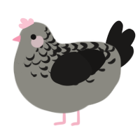 A ash and sable chicken with a half-lace pattern