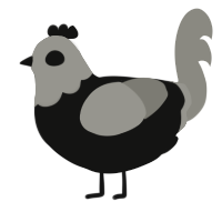 A black and ash chicken with a head pattern