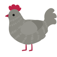 Chicken, a ash chicken with a bar pattern