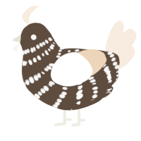 A bark and cream chicken with a bar pattern