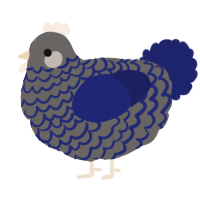 A grey and navy chicken with a lace pattern