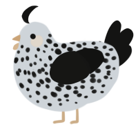 A mist and black chicken with a speckle pattern