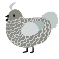 A ash and silver chicken with a lace pattern