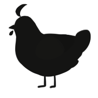 A black chicken