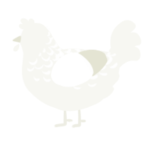 A white chicken with a half-lace pattern