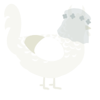 A white chicken with a half-lace pattern