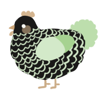 A sable and gluppy chicken with a lace pattern