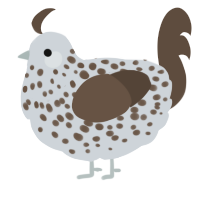 A mist and bark chicken with a speckle pattern
