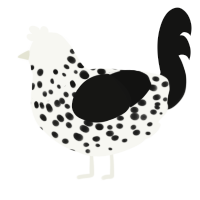 A white and black chicken with a speckle pattern