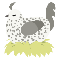 A white and ash chicken with a speckle pattern