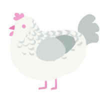 A white and silver chicken with a half-lace pattern
