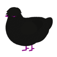 A black chicken with a lace pattern