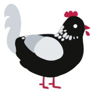 Possession, a black and mist chicken with a neck-speckle pattern